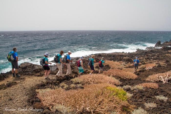 Piso Nuevo En El Puertito De Gueimar Al Lado Del Mar Realizamos Servicio De Excursiones Con Guia Puertito de Guimar Esterno foto